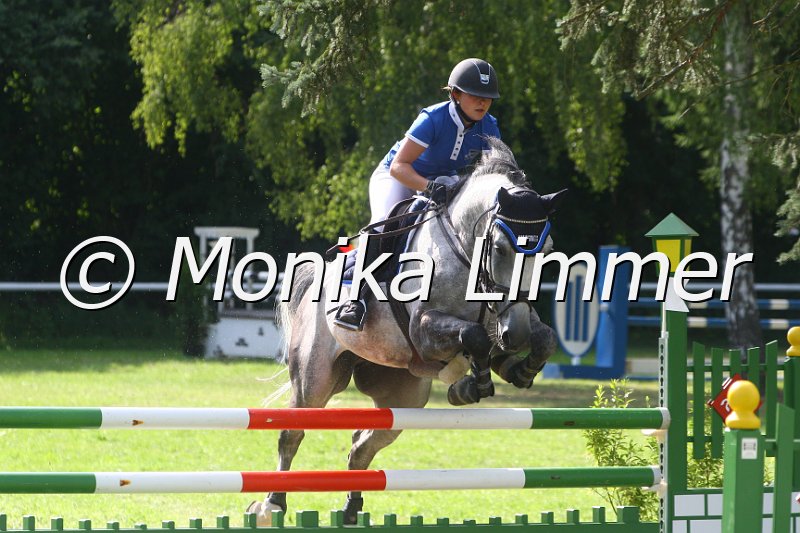 308M0561_Spring Mx.JPG